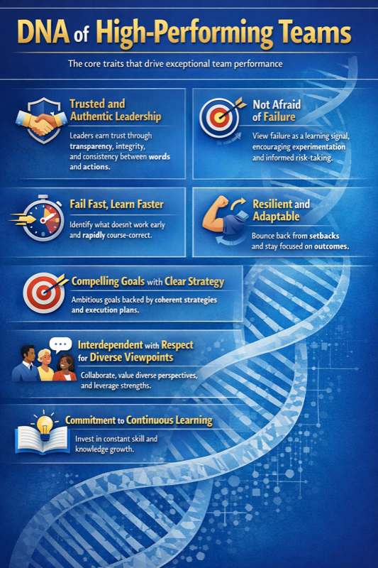 DNA of High Performing Teams Infographic
